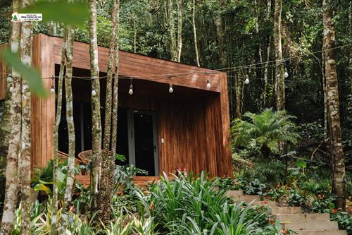 Bungalow Rừng Già